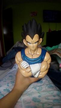 Alcancia Vegeta