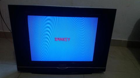Tv Sankey 22pulgadas Vendo O Cambio