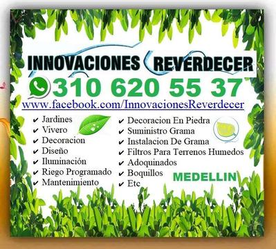 ⭐ Medellin, INNOVACIONES REVERDECER, PAISAJISMO, Jardines, Jardineria, Vivero, Decoracion, Diseño, Iluminación