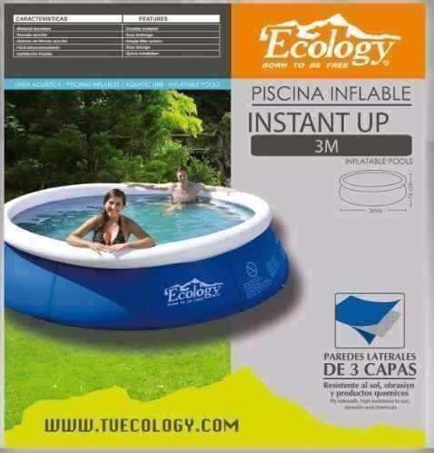 Piscina Inflable 3M