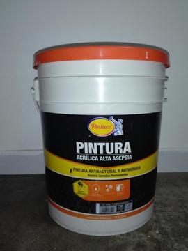 Se Vede Pintura Acrilica Marca Pintuco