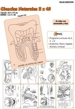 Sellos didácticos Ciencias naturales 2 x 45