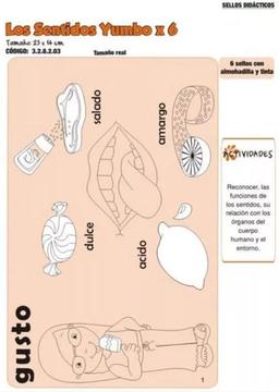 Sellos didácticos los sentidos yumbo x 6