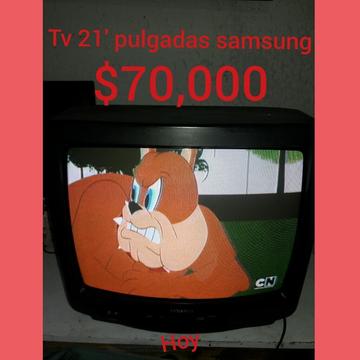Vendo Tv 21' Pulgadas Samsung