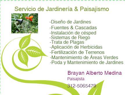 Servicio de Jardinería y Paisajismo