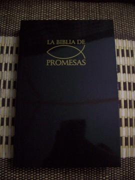 BIBLIA DE PROMESAS RUSTICA NEGRA