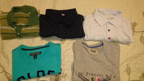 camisetaS levis, TOMY, groggy de lana, polo azul y blanca