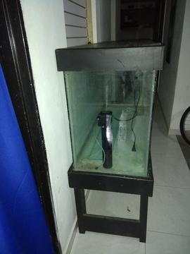 Venta Acuario Varato