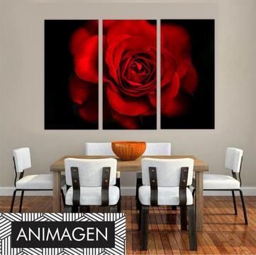 Hermoso cuadro Triptico Rosa Roja ideal para tu sala o comedor 3534