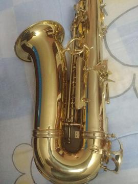 Saxo Alto Marca Scala con Estuche Duro