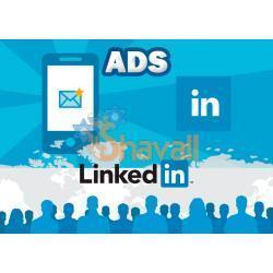 Vídeo Curso Crea Campañas de Marketing en LinkedIn Ads Referencia SKU: 961