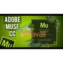 Video Curso Fundamentos de Adobe Muse Referencia SKU: 969
