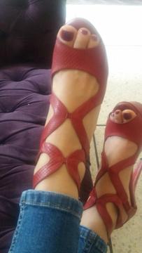 Antonella Zapatos Venta Calzado