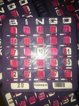 Bingo, 500 Tablas Plásticas de Bingo