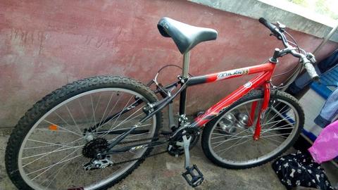 Bicicleta Economíca
