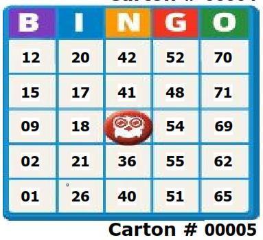 Cartones desechables para bingo, personalizado