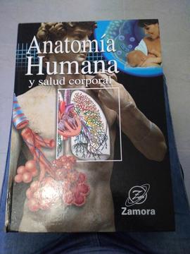 Anatomía Humana Y Salud Corporal/zamora