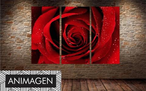 Hermoso cuadro Triptico ROSA ideal para decorar tu alcoba o habitación 5624