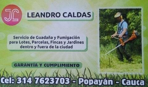 GUADAÑA Y FUMIGACION 3147623703