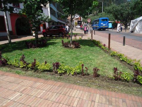 Plantas Ornamentales, y todo lo relacionado para el jardìn whatsapp 3202431927