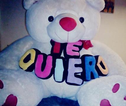 Vendo Oso de Peluche Económico