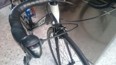 Bicicleta Gw Flama Talla L