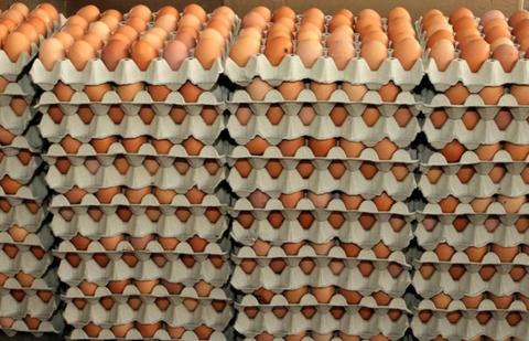 Venta Y Distribución de Huevos en Soacha