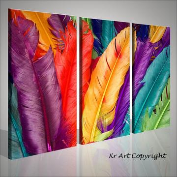 Elegante cuadro Triptico Plumas y Colores ideal para decorar y dar estilo a tus espacios 7693
