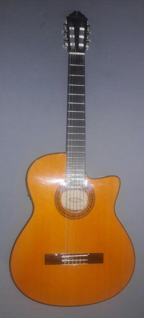 Guitarra Electroacústica Washburn C44CE
