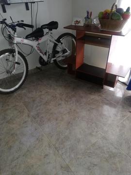Vendo Bicicleta Y Mueble para Tv