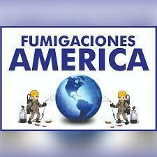 FUMIGACIONES AMERICA tel 4279459 whatsapp 3016336245 45.000