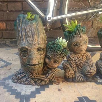 Groot 70.000 disponible en matera y alcancia