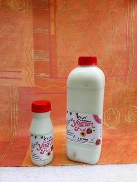 Yogurt artesanal con fruta. Sin conservantes. Por mayor y al detal
