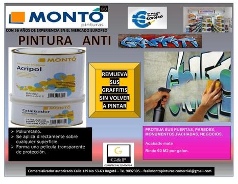 Pinturas Monto Antigrafitti GALON