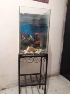 Acuario con base metalica y oxigenador