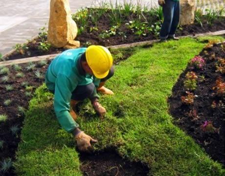 Empresa ofrece Servicio de Guadaña y jardinería