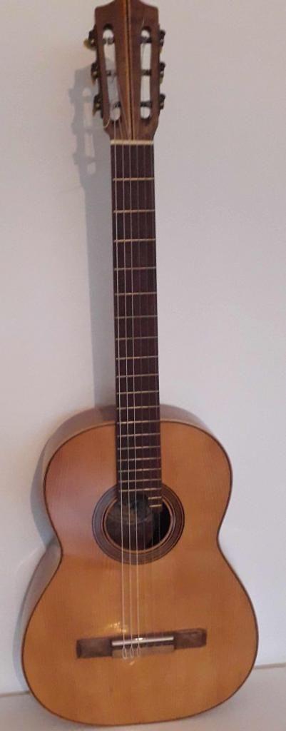 Guitarra acústica brasilera DiGiorgio