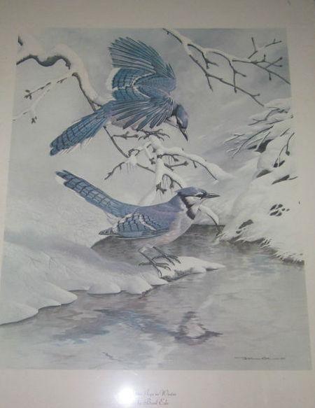 LITOGRAFIA PAJAROS AZULES EN INVIERNO 1968 VINTAGE 26 X 20