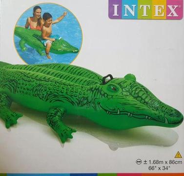 Ref. 58546 Cocodrilo 1.68 M X 86 Cm