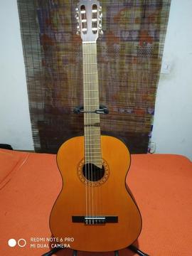 Guitarra Acústica H Cruz