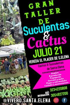 Curso de Jardinería, Suculentas Y Cactus