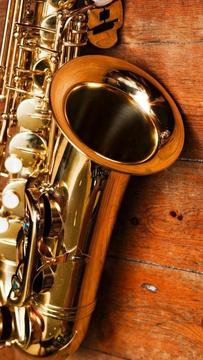 TALLER TECNICO ESPECIALIZADO EN REPARACIÓN DE INSTRUMENTOS DE VIENTO clarinetes , saxofones , flautas