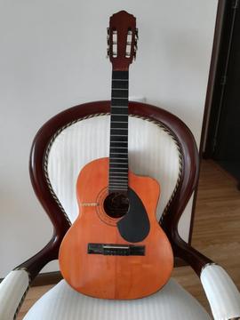 Guitarra Puntera Marca Aristi