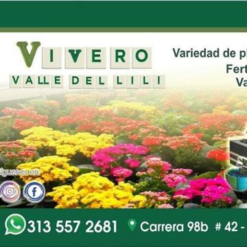 Vivero Valle Del Lili