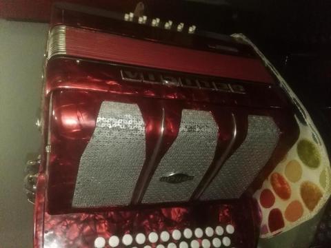 VENDO ACORDEON MARCA DELICIA