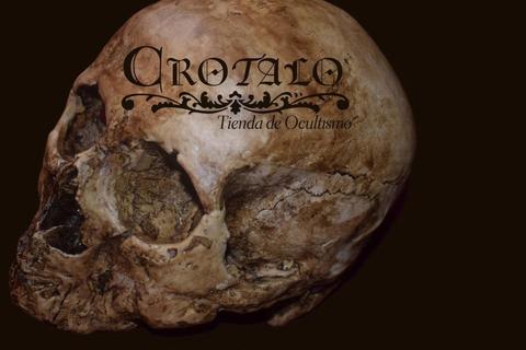 Cráneo Humano Calavera Realista Skull