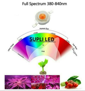 Led 1w 3w Full Spectrum 380nm 480nm Luz