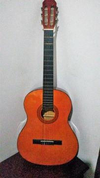 Guitarra Dcatala G01