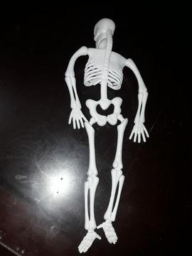 Figura Esqueleto Humano
