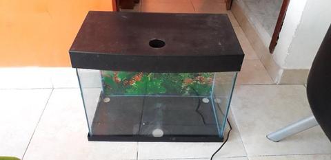 Vendo Acuario en Perfecta Estado